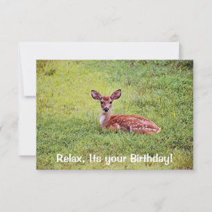 Baby Deer Fawn Relaxing Flat Birthday Card