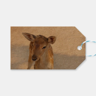 Baby Deer Gift Tags
