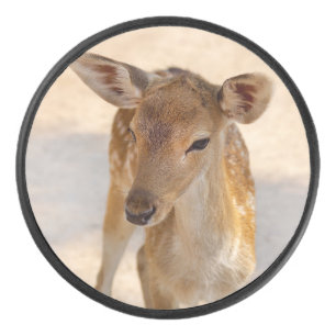 Baby Deer Hockey Puck