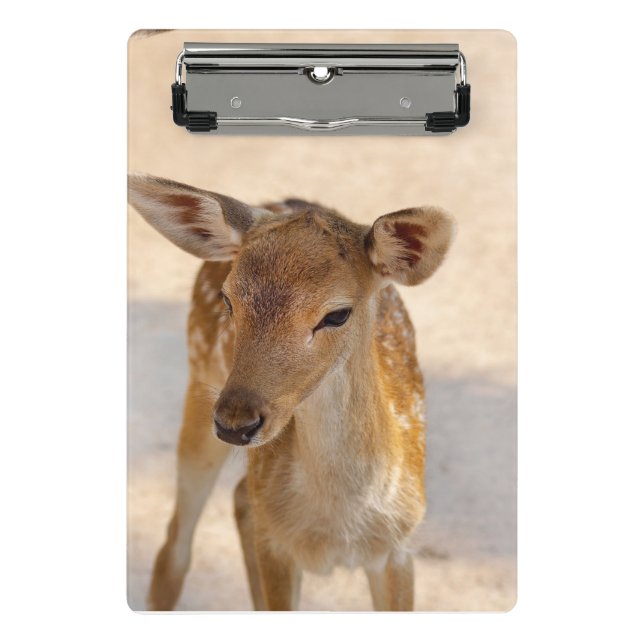 Baby Deer Mini Clipboard (Front)