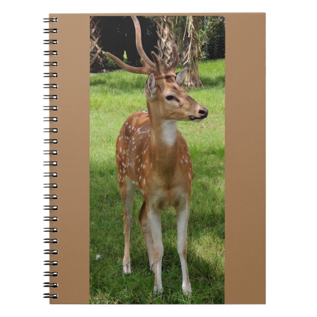 Baby deer notebook (Front)