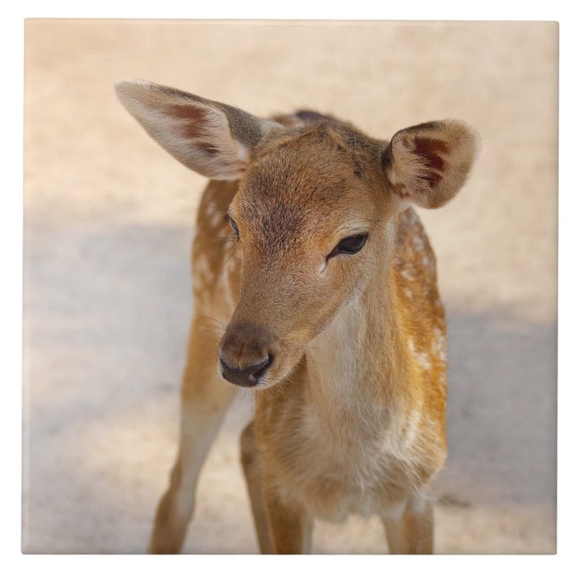 Baby Deer Tile (Front)