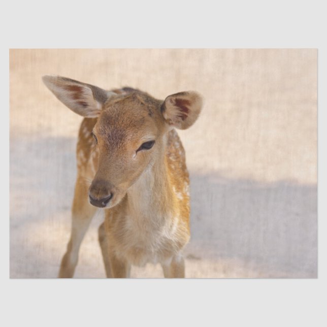 Baby Deer Tissue Paper (Front)