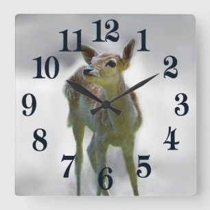 Baby deer's curiosity square wall clock