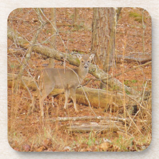 Baby Deer's First winter Coaster