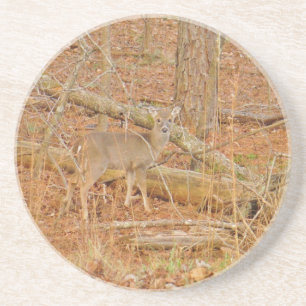 Baby Deer's First  winter Coaster