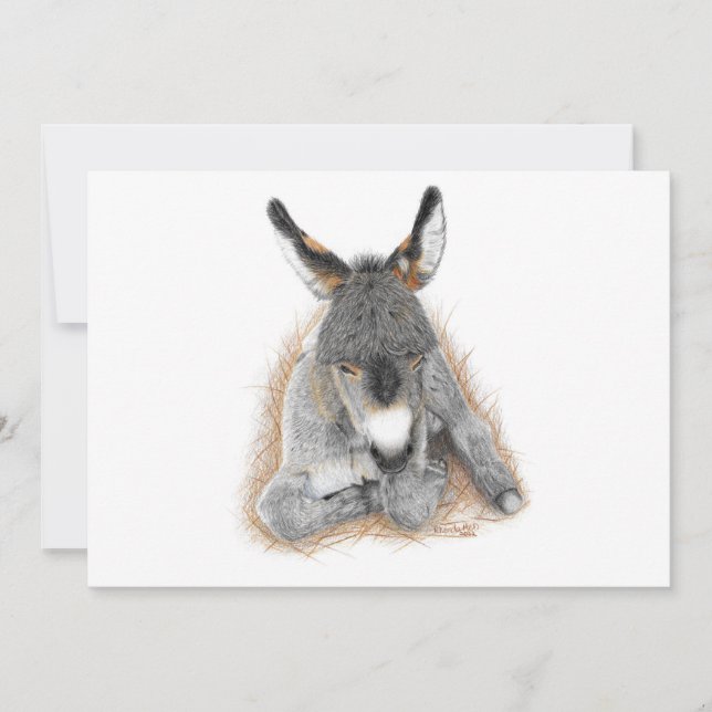 Baby Donkey Note Card (Front)