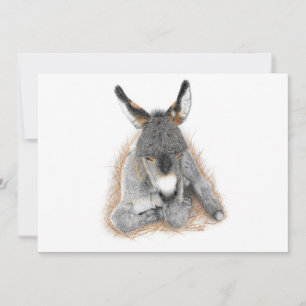Baby Donkey Note Card
