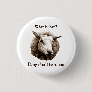 Baby Don't Herd Me Sheep 1 Inch Round Button