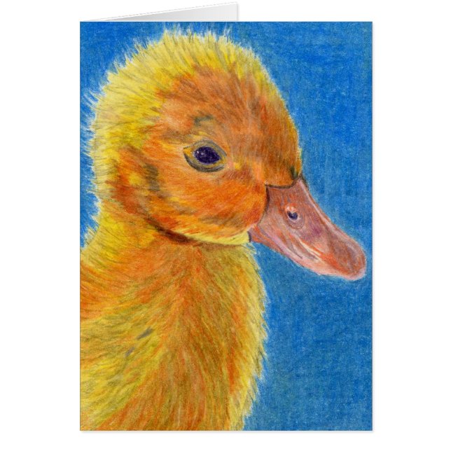 Baby Duck (Front)
