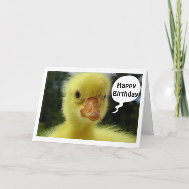 BABY DUCK SAYS HOPE YOUR BIRTHDAY IS JUST DUCKY CARD (Front)