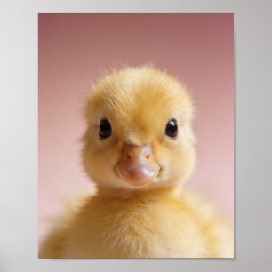Baby Duckling Nursery Print – Wall Art