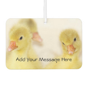 Baby Ducks Air Freshener