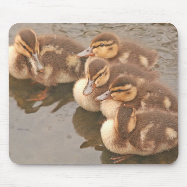 Baby Ducks Birds Wildlife Mousepad (Front)