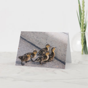 baby ducks card
