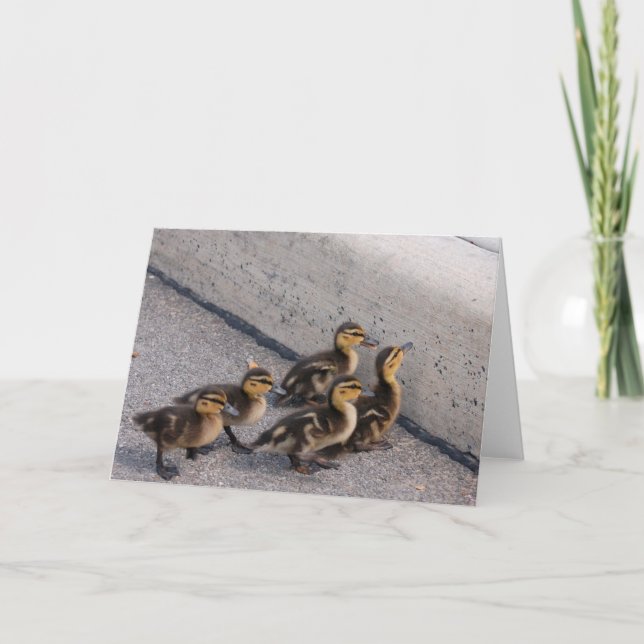 baby ducks card (Front)