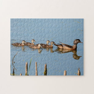 Baby Ducks in a row following Mom Jigsaw Puzzle