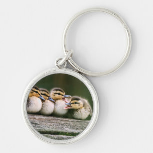 Baby Ducks Keychain