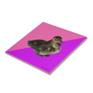 Baby Ducks on Pink Raspberry and Purple Sorbet Tile