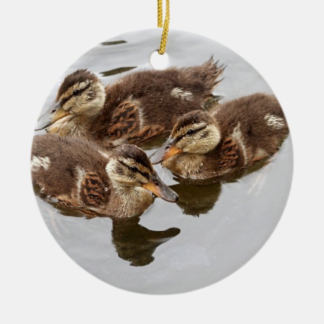 Baby Ducks Photo Ceramic Ornament (Front)