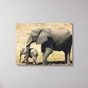 Baby Elephant And Mother Canvas Print