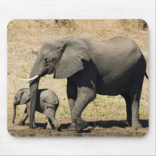 Baby Elephant And Mother Mouse Pad