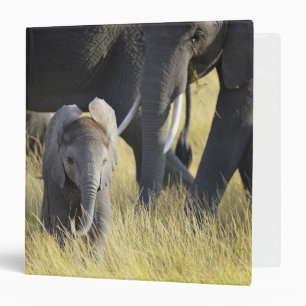 Baby Elephant Binder
