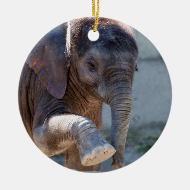 Baby Elephant Ceramic Ornament (Front)
