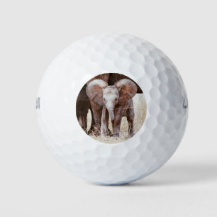 Baby Elephant Cute African Elephant with Mom Golf Balls