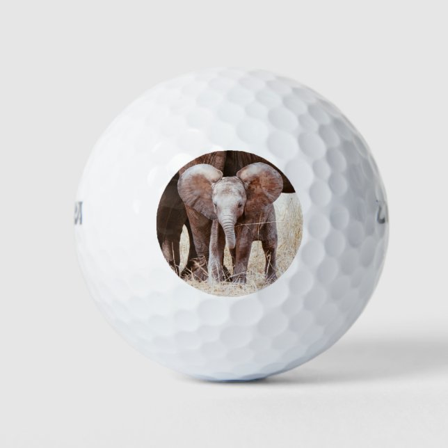 Baby Elephant Cute African Elephant with Mom Golf Balls (Front)