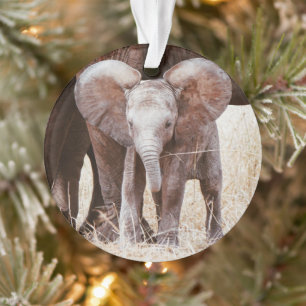 Baby Elephant Cute African Elephant with Mom Ornament