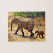 Baby elephant following its mother, South Africa