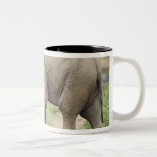 Baby Elephant following the mother,Corbett Two-Tone Coffee Mug