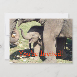 Baby Elephant Invitations Template