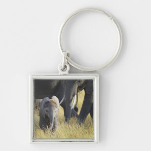 Baby Elephant Keychain