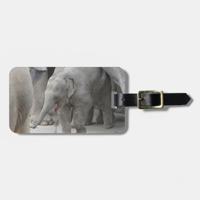 BABY ELEPHANT LUGGAGE TAG (Front Horizontal)