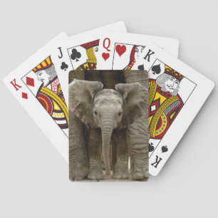 Baby Elephant Playing Cards