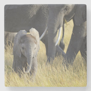 Baby Elephant Stone Coaster