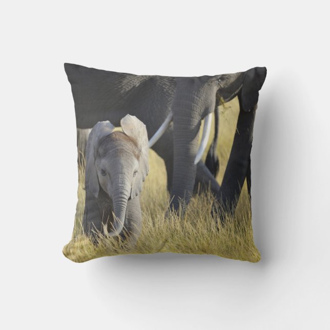 Baby Elephant Throw Pillow (Front)