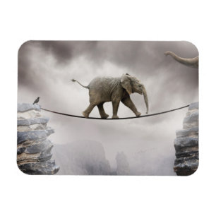 Baby Elephant Walks The Tightrope Magnet