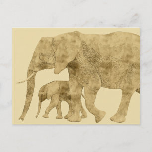 Baby Elephant with it's Mother Postcard