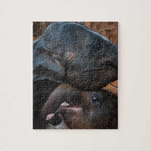 Baby Elephants in Water Smiling Jigsaw Puzzle