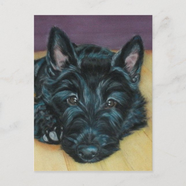 'Baby Em' - Scottie puppy Postcard (Front)