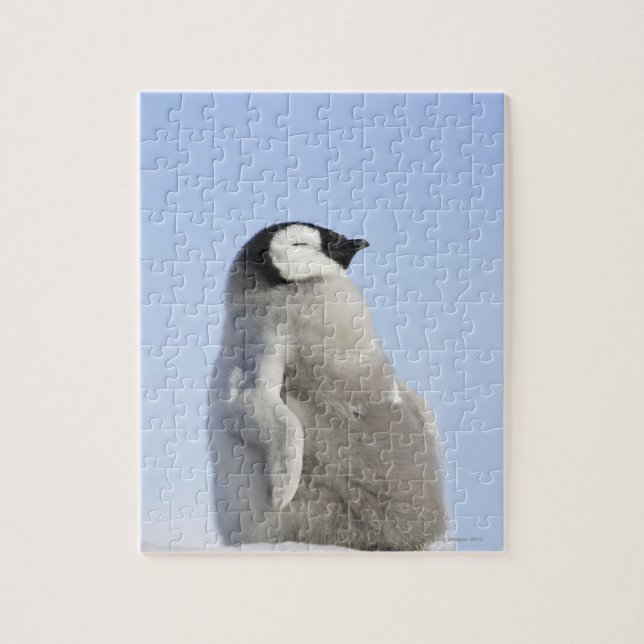Baby Emperor Penguin, Snow Hill Island Jigsaw Puzzle (Vertical)