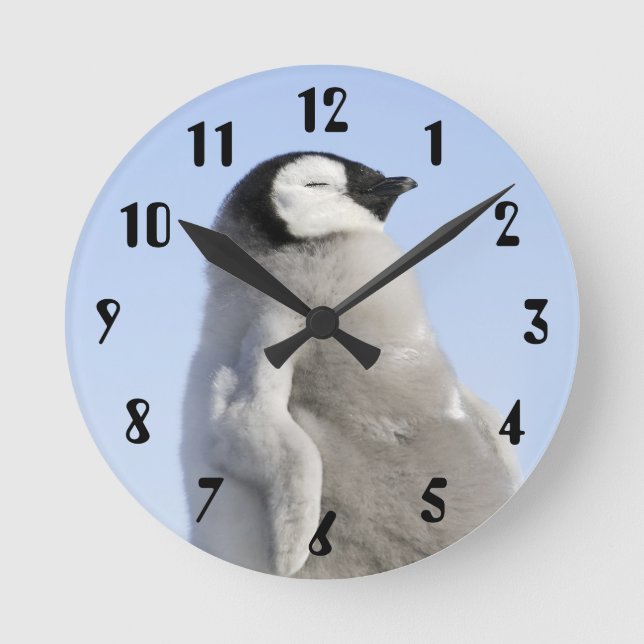 Baby Emperor Penguin, Snow Hill Island Round Clock (Front)