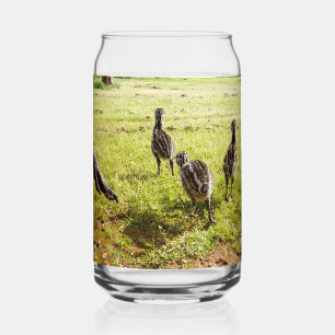Baby Emu Chicks And Big Foot, Can Glass