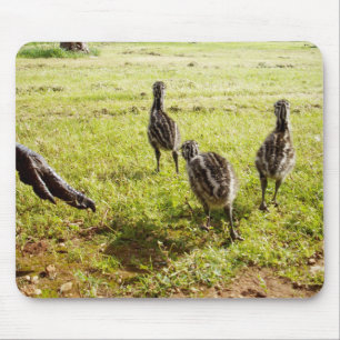Baby Emu Chicks And Big Foot, Mouse Pad