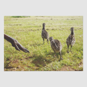 Baby Emu Chicks And Big Foot,  Tissue Paper