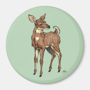 Baby Fawn with mint background Magnet