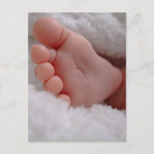 Baby Feet Postcard